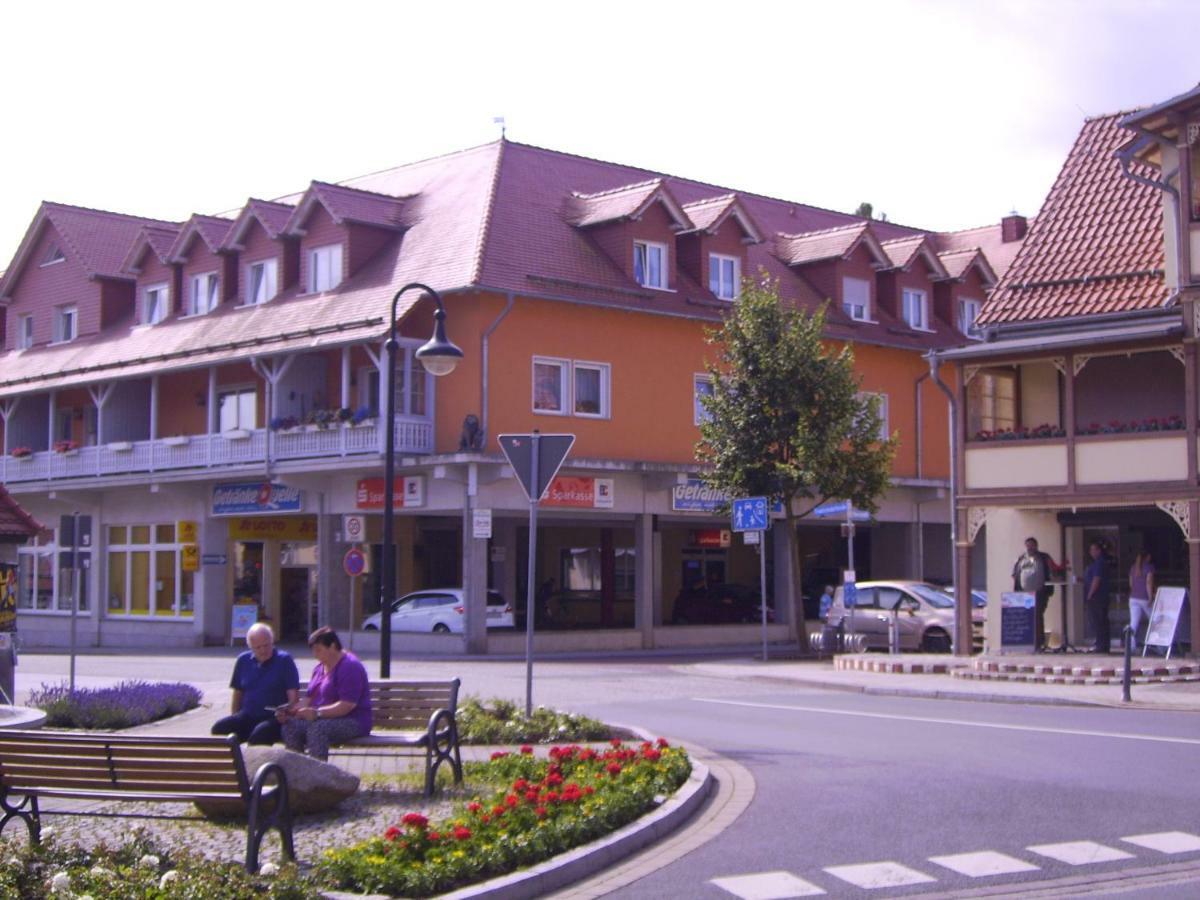 Ferienwohnung Froehlich Bad Suderode Buitenkant foto